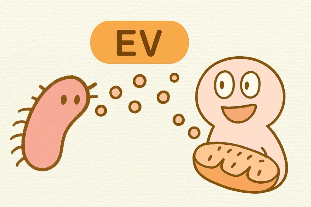乳酸菌EVとヒトの健康